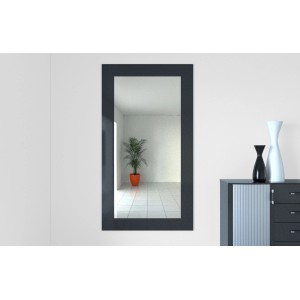 Rechteckiger Spiegel mit dunklem Rahmen an weißer Wand, reflektiert Raum mit Pflanze und Kommode.