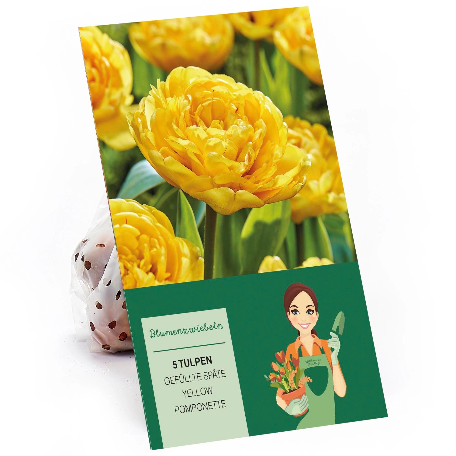PfingstrosenTulpe "Yellow Gelb 5 Stück Tulipa kaufen bei OBI