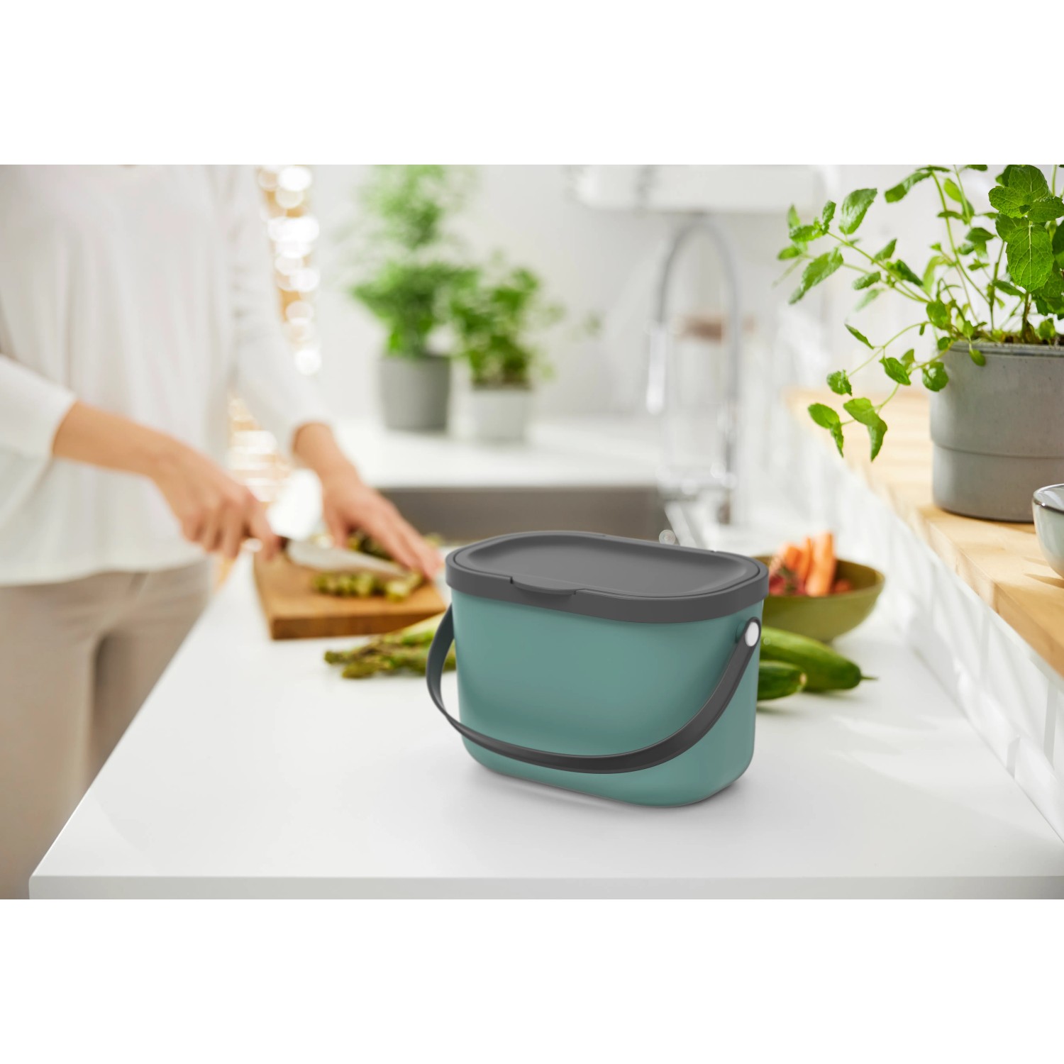 Rotho Bioabfallbehälter Albula 3,2 l Mistletoe Green_4