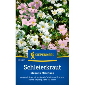 Kiepenkerl Schleierkraut Elegans Mischung mit rosa und weißen Blüten.