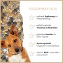 Brauner Hund schaut aus Supravit Flockenmix Plus Hundefutter mit Gemüse. Ausgewogene Flockenmischung, ideal für BARF.