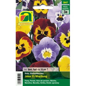 Austrosaat Stiefmütterchen Joker F2 Mischung mit mehrfarbigen Blüten.