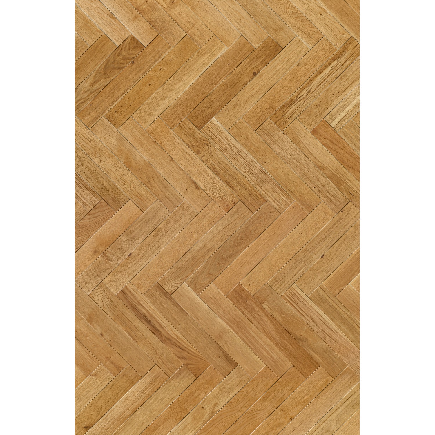 Parkett Trendtime 3 Living Eiche matt, Fischgrätmuster. Natürlicher Eichenholz-Farbton.