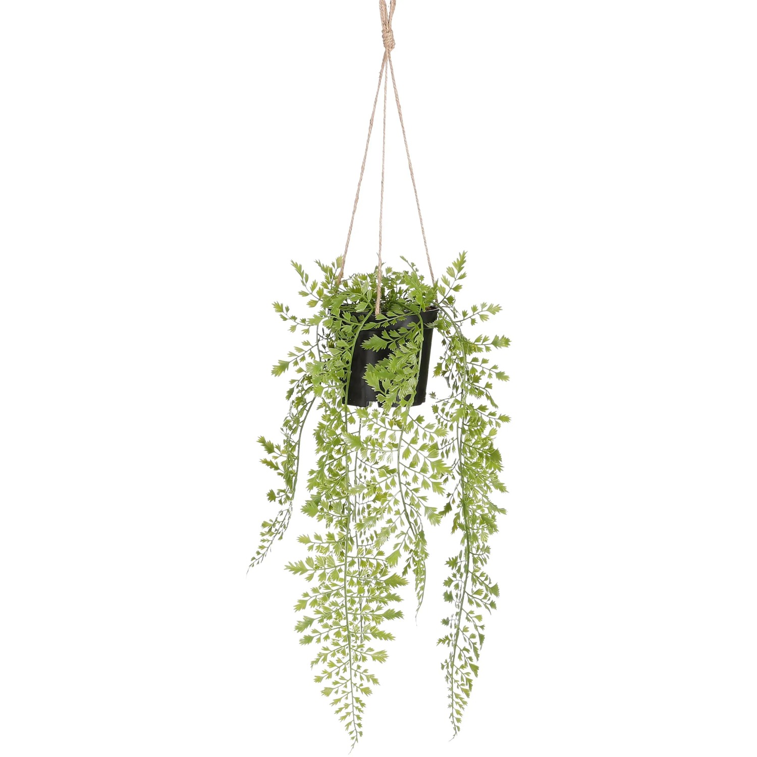 Mica Decorations Kunstpflanze Adiantum Hngend in Topf 47 cm x 20 cm Grn  kaufen bei OBI