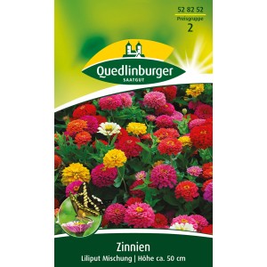Quedlinburger Zinnien Liliput Mischung, farbenfrohe Sommerblumen für Beet und Rabatte.
