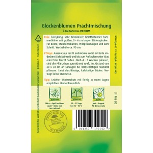 Samentüte Quedlinburger Glockenblume Prachtmischung, mehrfarbige Blüten.