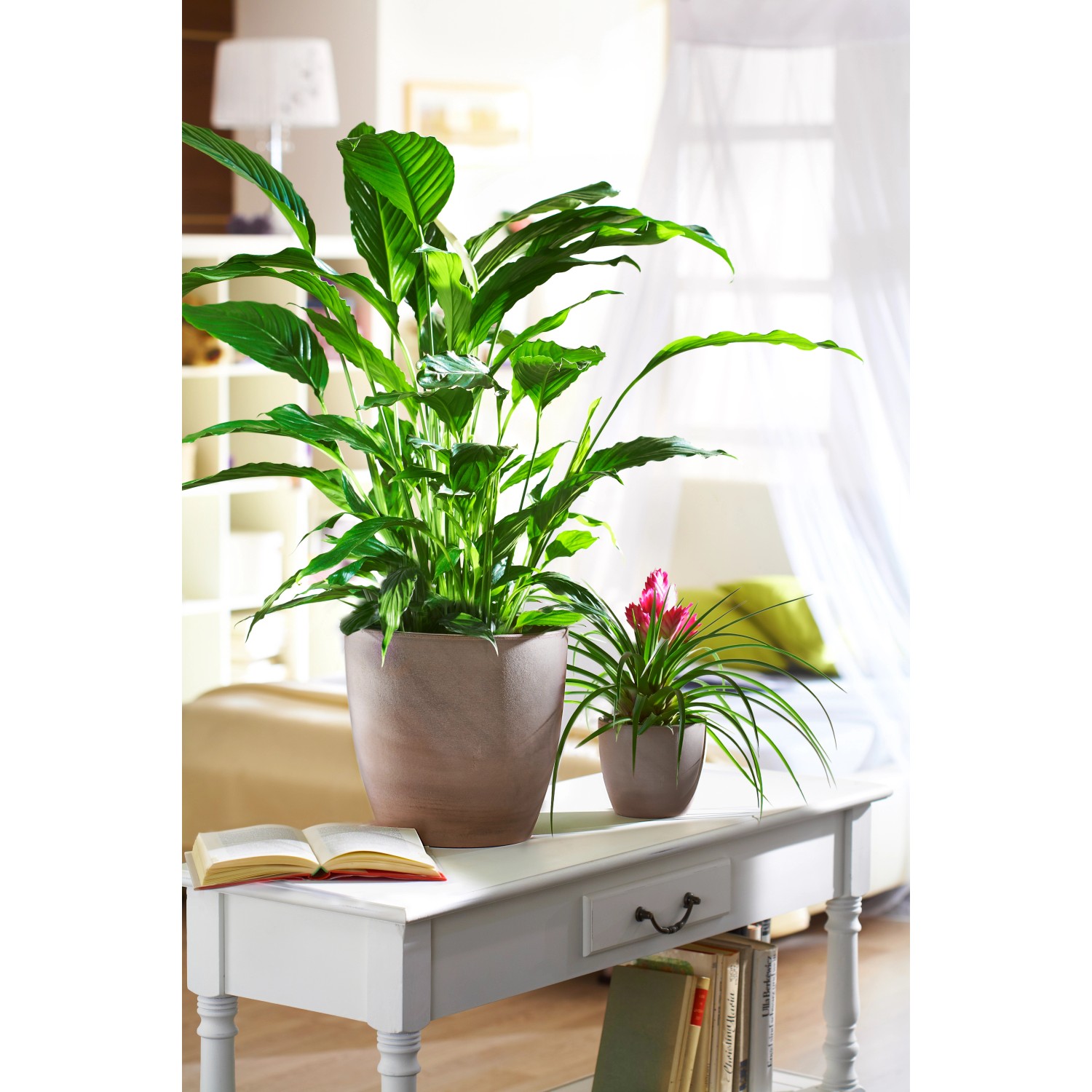 Scheurich Übertopf 920 Earth, Ø 16 cm, mit Zimmerpflanzen auf Tisch im Wohnraum.