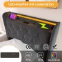 okwish Polsterbett 90x200cm mit LED USB C Einzelbett Grau mit Matratze_8