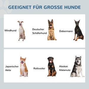 Sechs große Hunderassen (Schäferhund, Dobermann, Akita) zeigen Eignung für erhöhten Hundenapf.