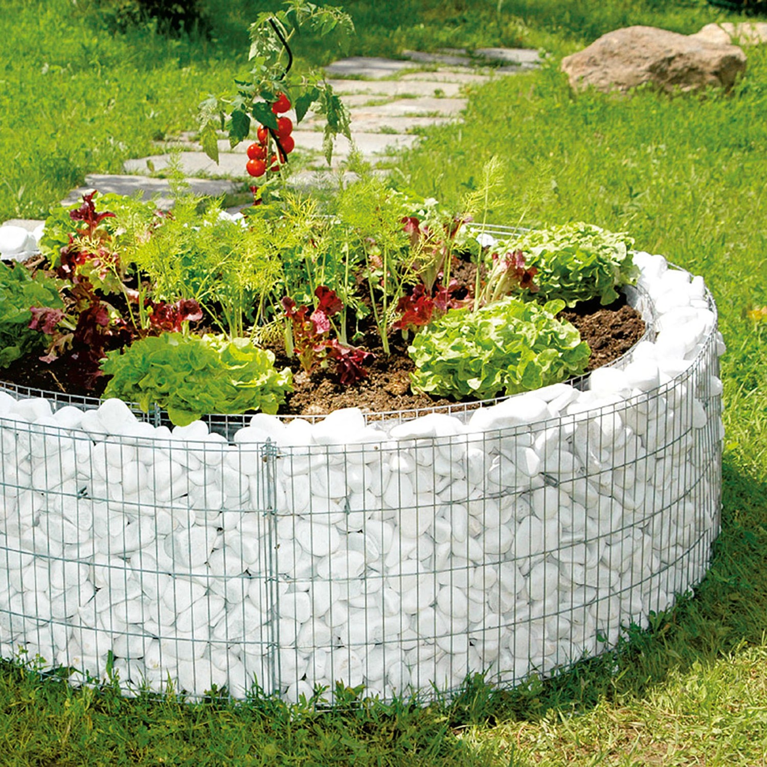 Rundes Bellissa Gabionen-Hochbeet (Ø 146 cm) mit weißer Steinbefüllung und Bepflanzung im Garten.