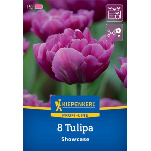 Kiepenkerl Gefüllte Tulpe Showcase, purpurfarbene Blüte, 8 Stück.