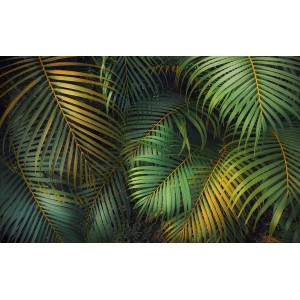 Komar Vliestapete Amazon Fern, Fototapete mit üppigen, grünen Farnblättern.