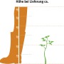 Illustration: OBI Weinrebe, Sorte Hellgelb, ca. 20-30 cm hoch bei Lieferung.
