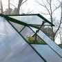 Detailaufnahme: Palram Canopia Hybrid Gewächshaus mit geöffnetem Dachfenster und Pflanzen.