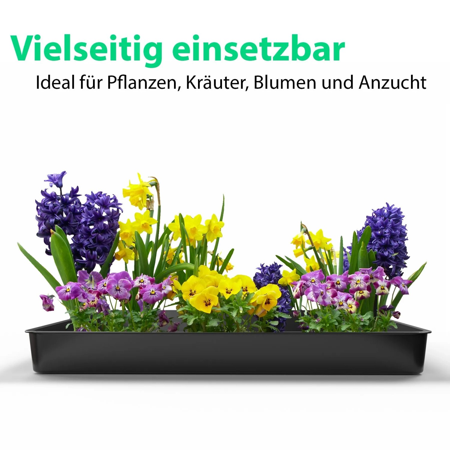 roller garderoben set 6-teiliges Garderoben-Set - Alpinweiß - Coast Evoke Eiche Größen:50x220