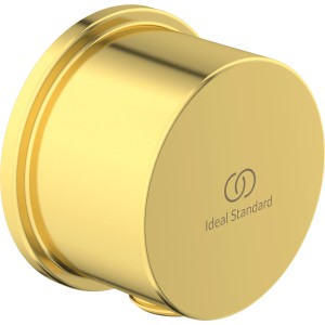 Ideal Standard Brauseschlauchanschluss Idealrain Atelier in Goldoptik.