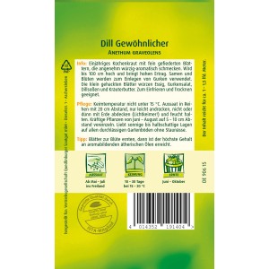 Samentüte Quedlinburger Dill 'Gewöhnlicher'. Aromatisches Küchenkraut für Gurkensalat und Fischgerichte.