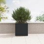 Anthrazitfarbener Herstera Garden Metall-Pflanzkübel Cube (80x80x80 cm) mit Bepflanzung.