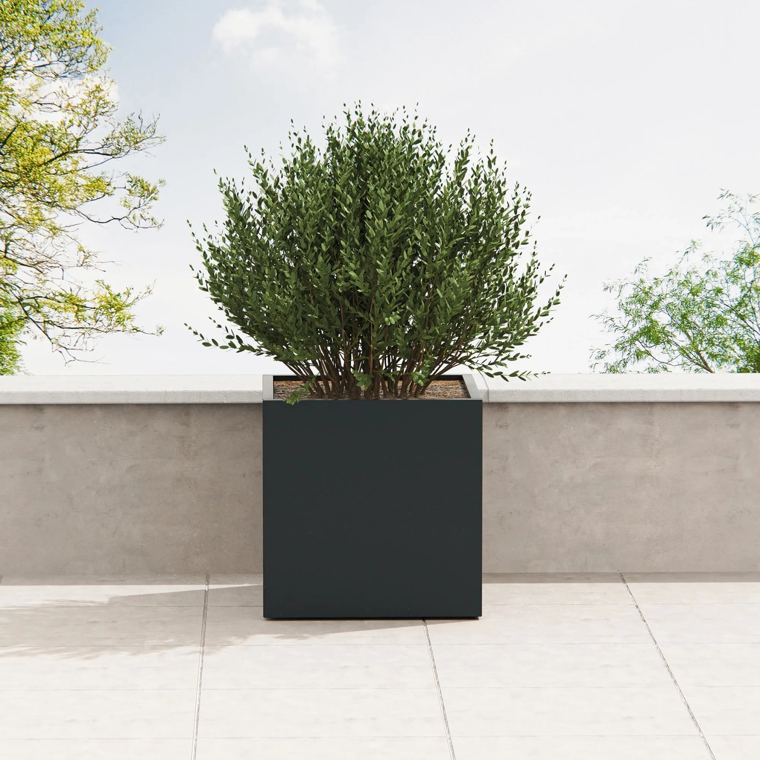 Anthrazitfarbener Herstera Garden Metall-Pflanzkübel Cube (80x80x80 cm) mit Bepflanzung.