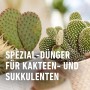Compo Kakteendünger 250 ml_11