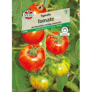 Sperli Tomaten Tigerella Samen: Rot-goldgelb gestreifte Tomaten am Strauch.