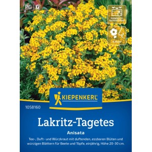 Kiepenkerl Lakritz-Tagetes Anisata Saatgut mit goldgelben, essbaren Blüten und Lakritzduft.