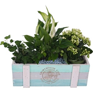 Bepflanzte Holzkiste mit Grün- und Blühpflanzen (Einblatt, Efeu, Flammendes Käthchen) für Innen, Ø 30cm.