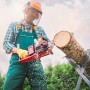 Einhell Akku-Kettensäge GP-LC 36/35 Li-Solo beim Sägen eines Baumstamms. Motorsäge mit Akku der Power X-Change Familie.