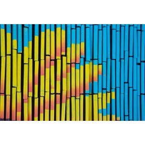 Conacord Türvorhang Flowers, 90x200 cm, Bambus, mit gelben und blauen Blumen