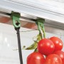 Pflanzenhalter aus Kunststoff im Gewächshaus mit Tomatenpflanze.