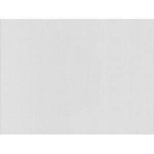 Meistervlies Protect Vliestapete Sprenkelputz FSC®