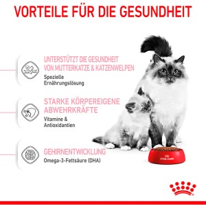 Royal Canin Mother & Babycat Katzenfutter: Katze mit Kitten am Futternapf.