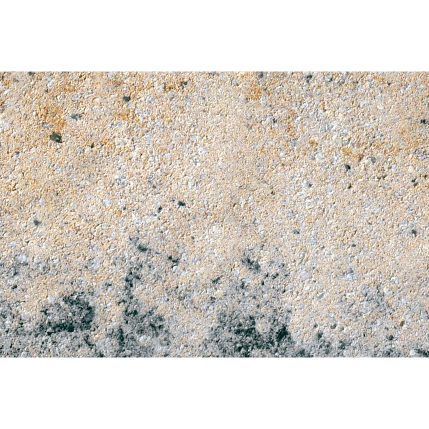 Bain D'Oiseaux Beeztees En Fonte | 20x14x8 Cm | Décoration Jardin | Nettoyage Facile | Alliage Résistant