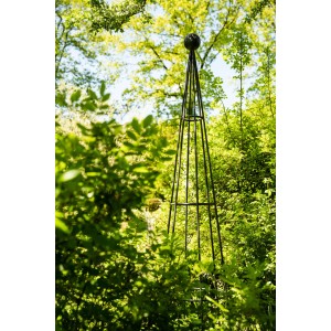 Eleo Rankhilfe Obelisk Enna, 170 cm, pulverbeschichtet, im Garten zwischen Pflanzen.