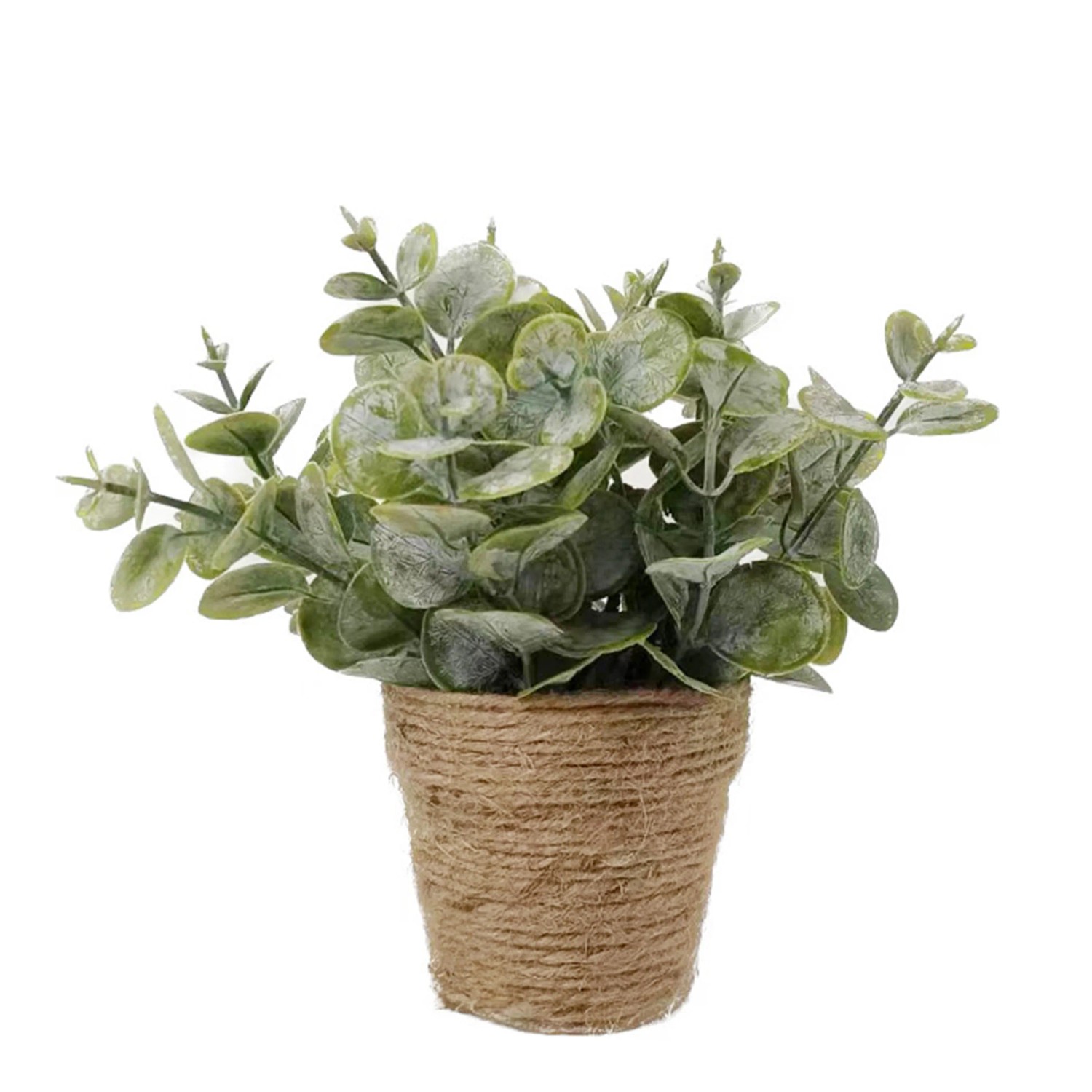 Mica Kunstpflanze Eucalyptus in Topf 20 cm x  15 cm Grn kaufen bei OBI