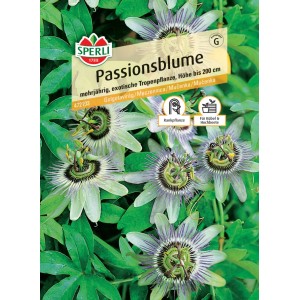 Sperli Saatgut Passionsblume: Blühende Kletterpflanze mit markanten Blüten für Kübel und Garten.