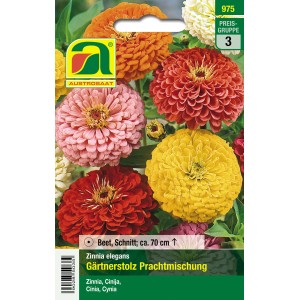 Austrosaat Zinnien Gärtnerstolz Prachtmischung Blumensamen, mehrfarbig.