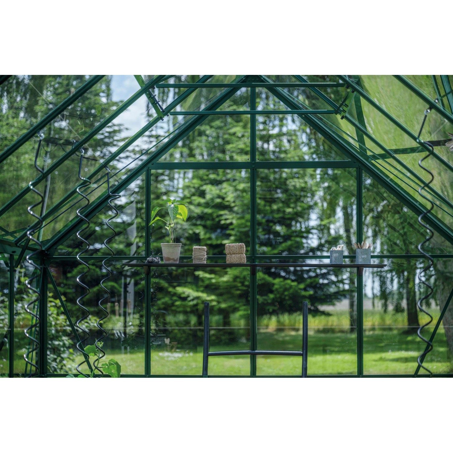 Halls Gewächshaus Icon 8 Grün 9,7 m²_4