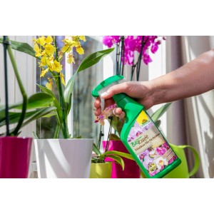 Anwendung der Neudorff BioKraft Vitalkur für Orchideen aus grüner Sprühflasche.