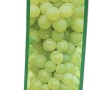 Weinrebe Primus Gelb im 3 l Topf, ca. 80-100 cm hoch. Ideal für Garten und Balkon.
