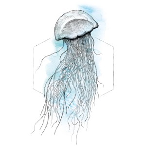 Komar Wandbild Jellyfish Watercolor, 40x50 cm. Aquarell-Optik einer Qualle vor blauem Hintergrund.