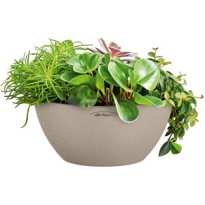 Lechuza Cubeto Stone 40 Pflanzschale in Sandbeige mit Bepflanzung, Ø 40 cm.