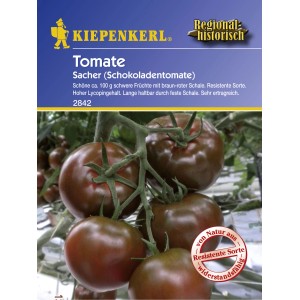 Kiepenkerl Tomaten Sacher: Schokoladenbraune Tomaten an der Pflanze.