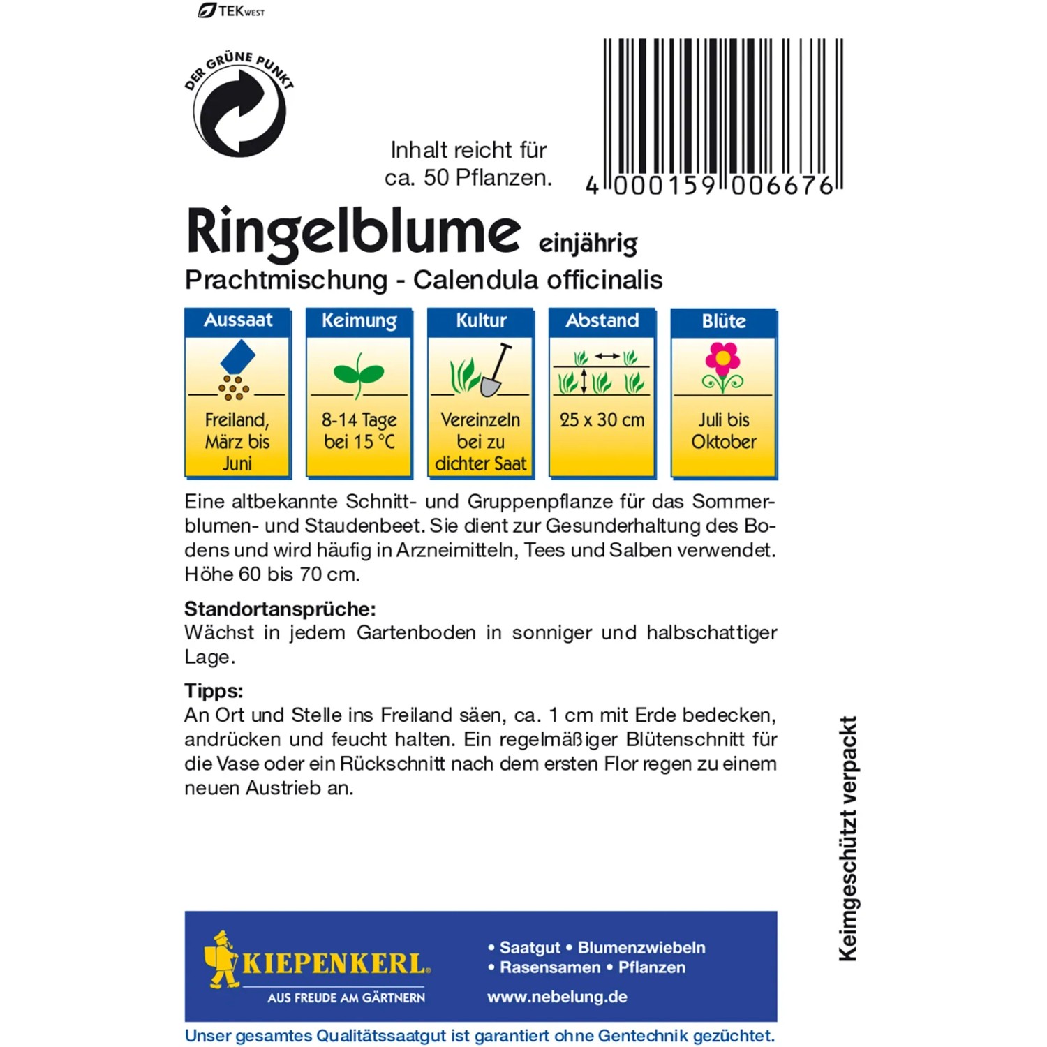 Kiepenkerl Ringelblume Prachtmischung, mehrfarbig. Blumensamen für Staudenbeete und zum Schnitt.