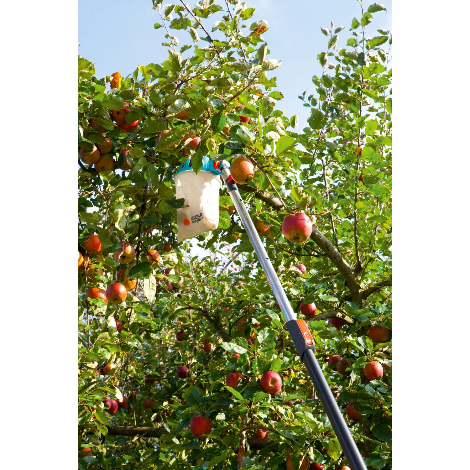 Gardena Obstpflücker Combisystem kaufen bei OBI