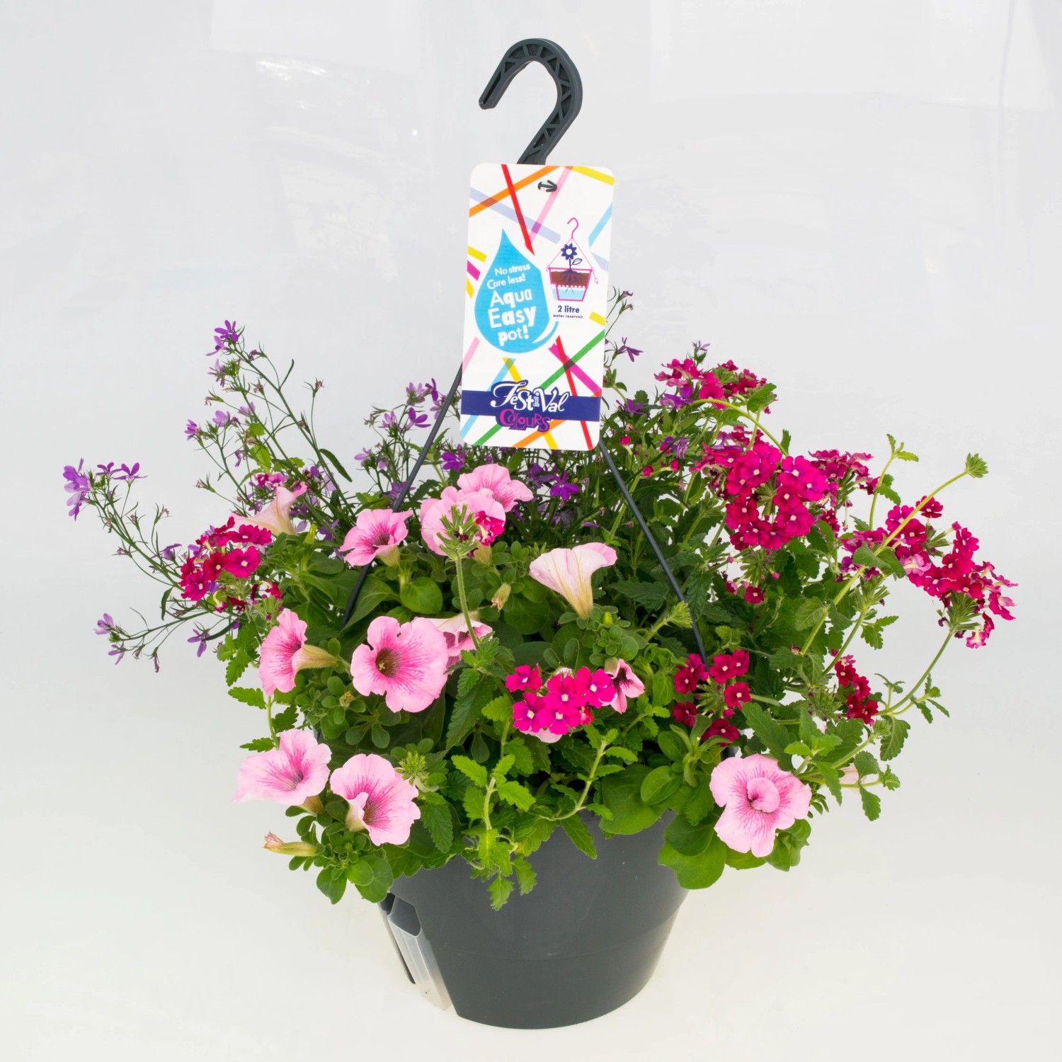 Beetpflanzen Mix Ampeltopf-Ø ca. 27 cm kaufen bei OBI