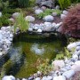 Ubbink Fertigteich Start 1000 mit Steinen und Bepflanzung im Garten.