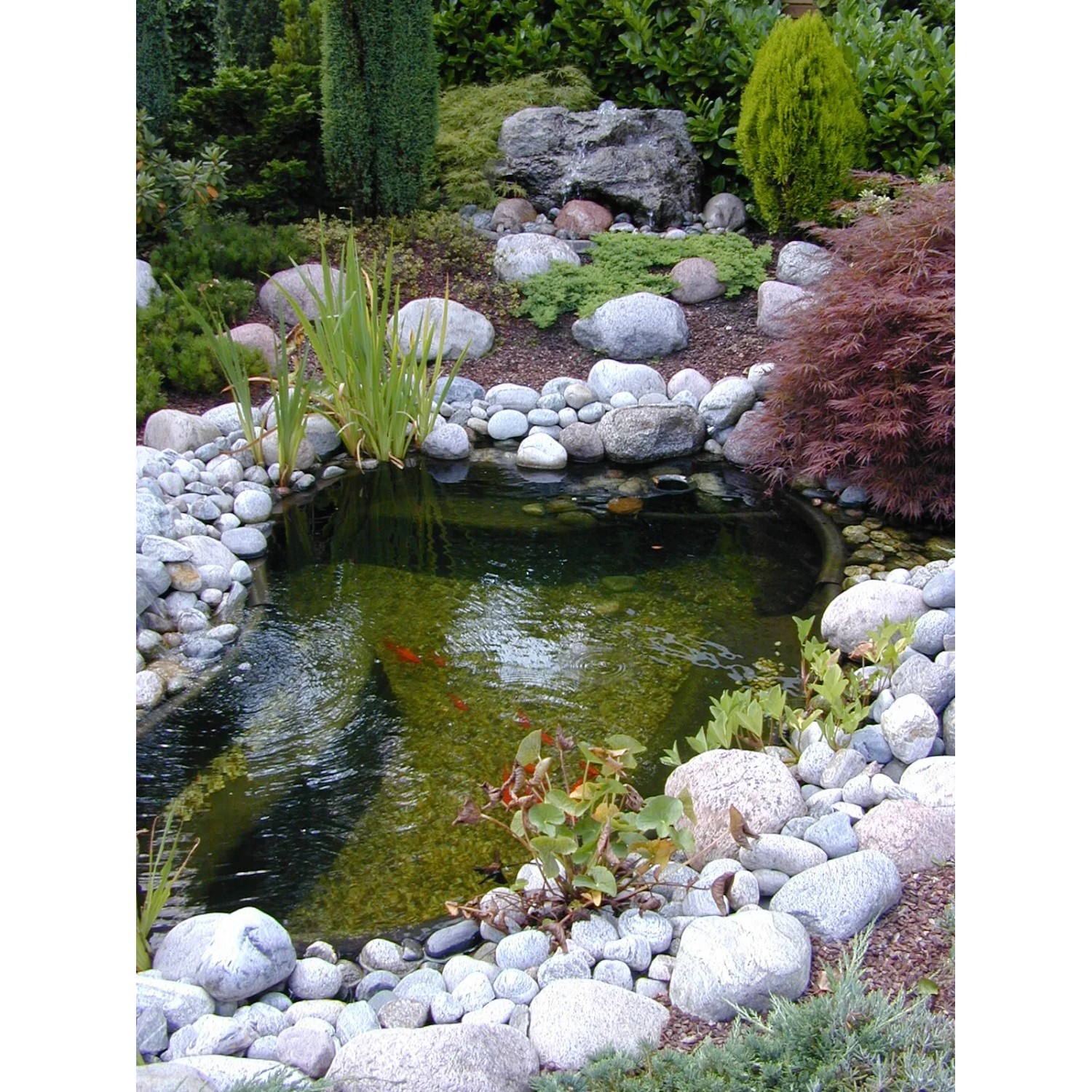 Ubbink Fertigteich Start 1000 mit Steinen und Bepflanzung im Garten.
