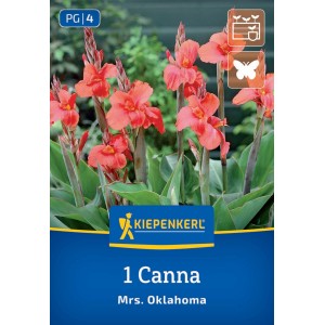 Kiepenkerl Blumenrohr Miss Oklahoma