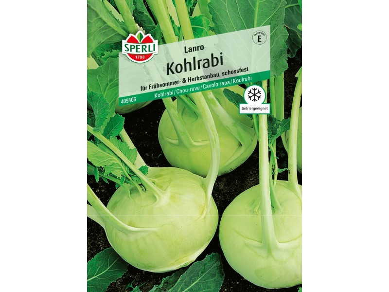 Sperli Premium Kohlrabi Samen „Lanro“ – Aromatisch, Schossfest, Nicht Holzig (samenfest)